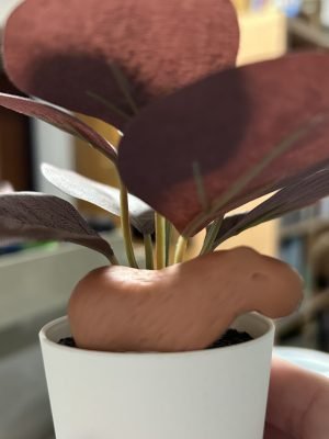 Minis, figurines, collectibles